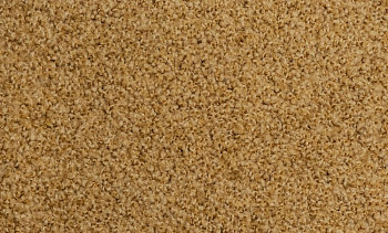 Ковролин Vorwerk Exclusive1009/Elara 2d91 фото 1 | FLOORDEALER